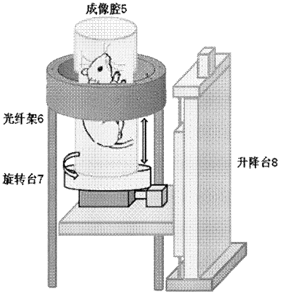 Photon counting-type dynamic diffusion fluorescence tomography method and device