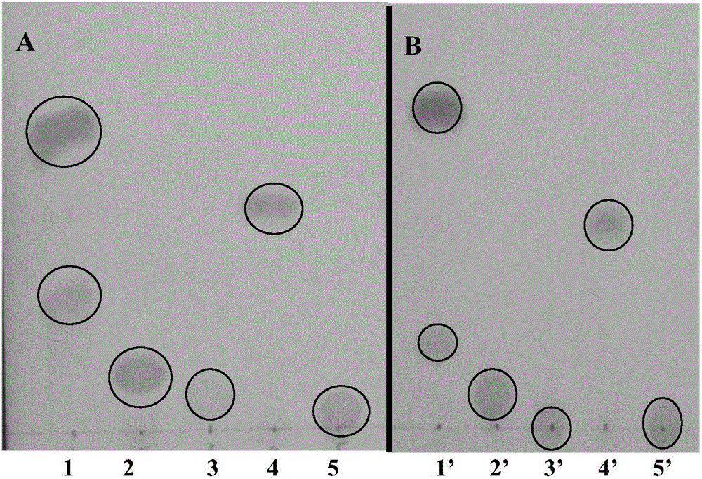 Method for detecting N-acyl-homoserine lactone quorum sensing signal molecules in sample