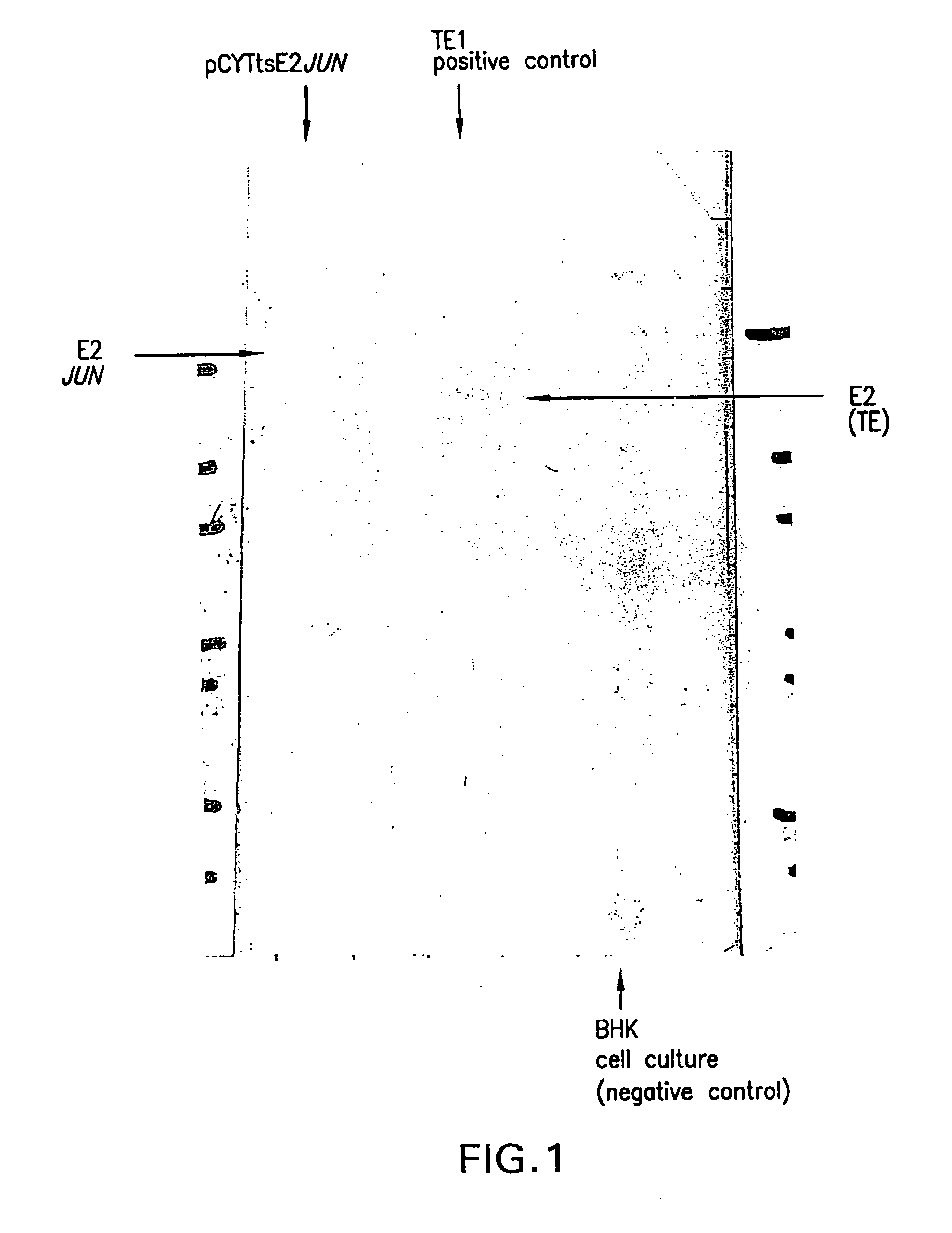 Molecular antigen array