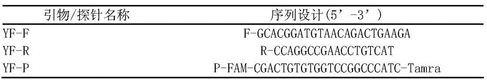 Yellow fever virus detection kit based on RPA technology and applications of yellow fever virus detection kit