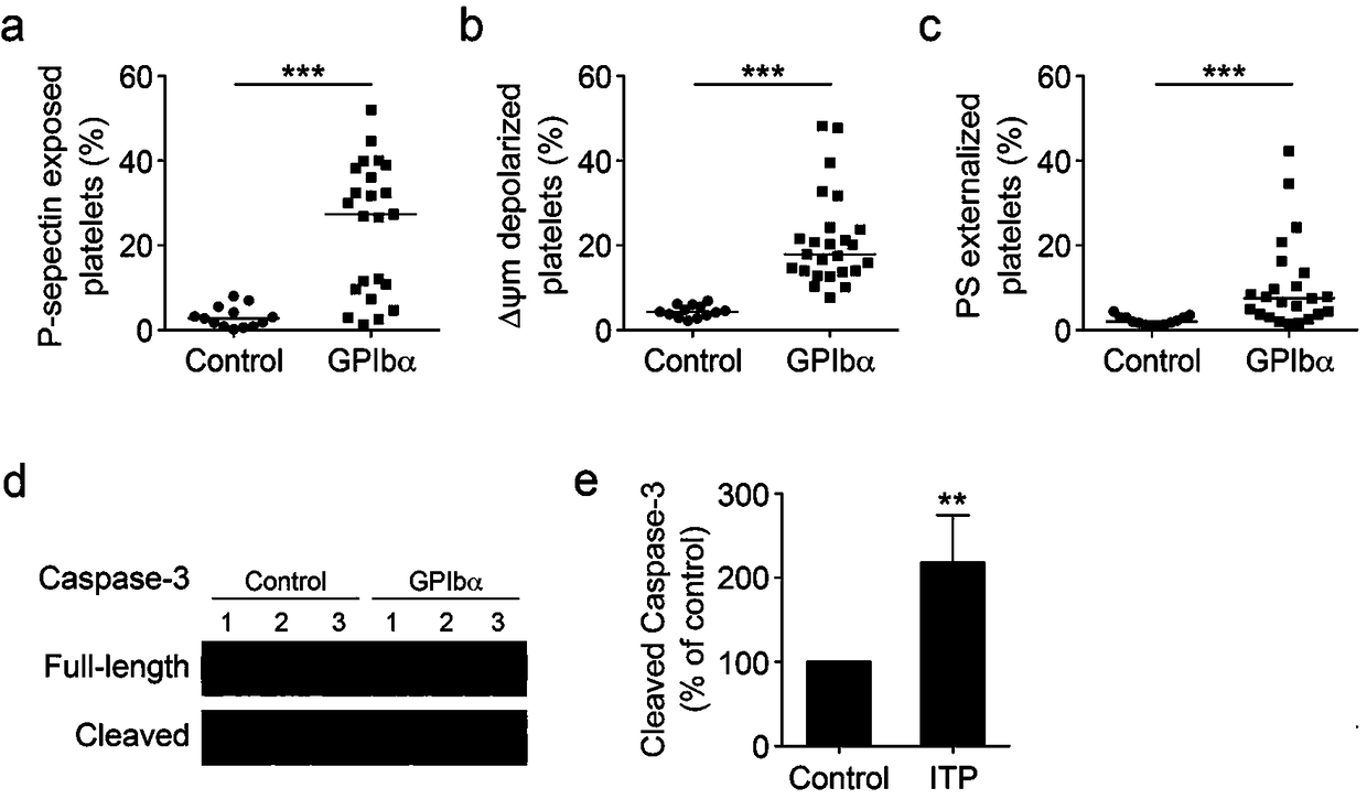 Application of PI3K (Phosphatidylinositol 3-Kinase) inhibitor to preparation of medicine for treating related diseases of thrombocytopenia