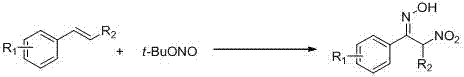 Preparation method of alpha-nitro ketoxime derivative