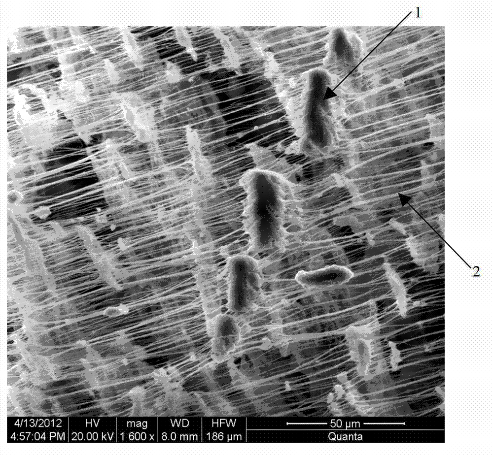 Polytetrafluoroethylene hollow fiber micro-porous film and preparation method thereof