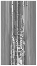 Polarizing film defect detection system and method