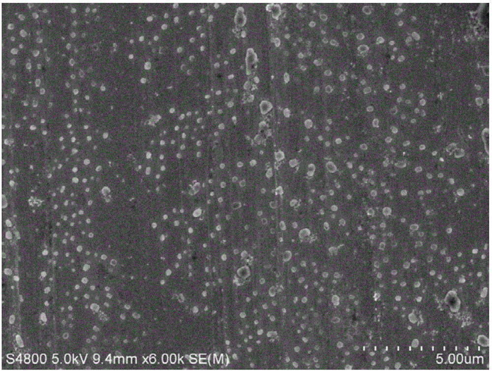 White carbon black based blue-green algae inhibitor and preparation method and application thereof