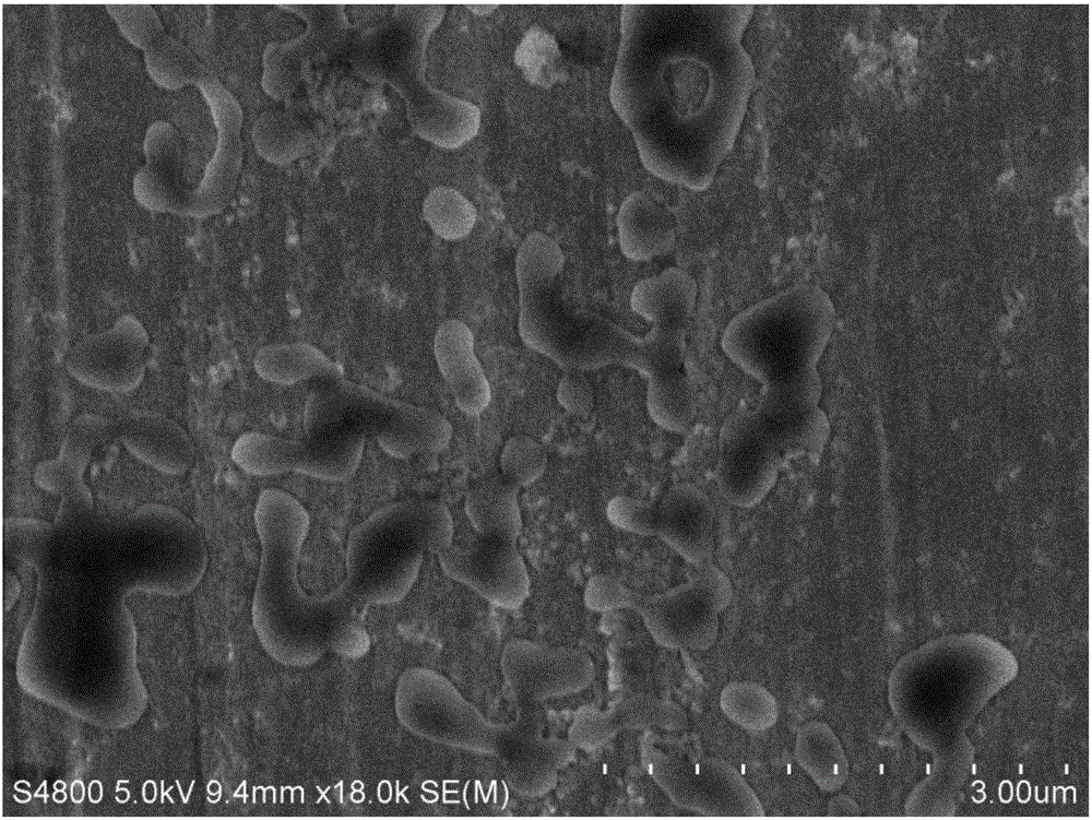 White carbon black based blue-green algae inhibitor and preparation method and application thereof