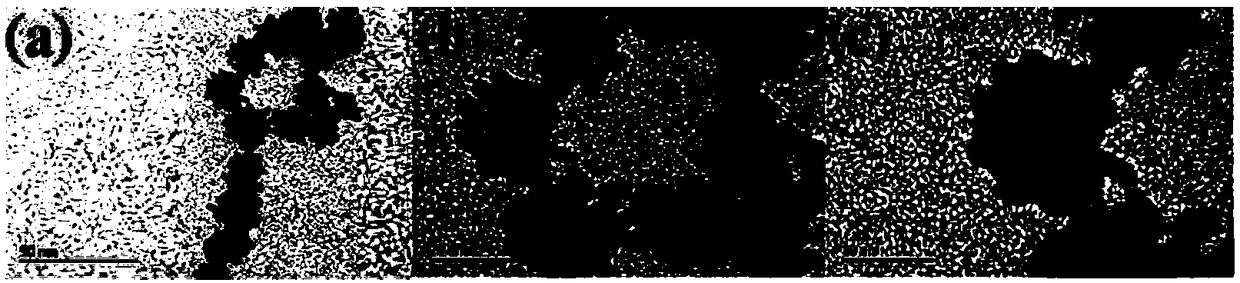 Preparation method and application of Pt nanoparticles