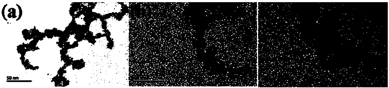 Preparation method and application of Pt nanoparticles