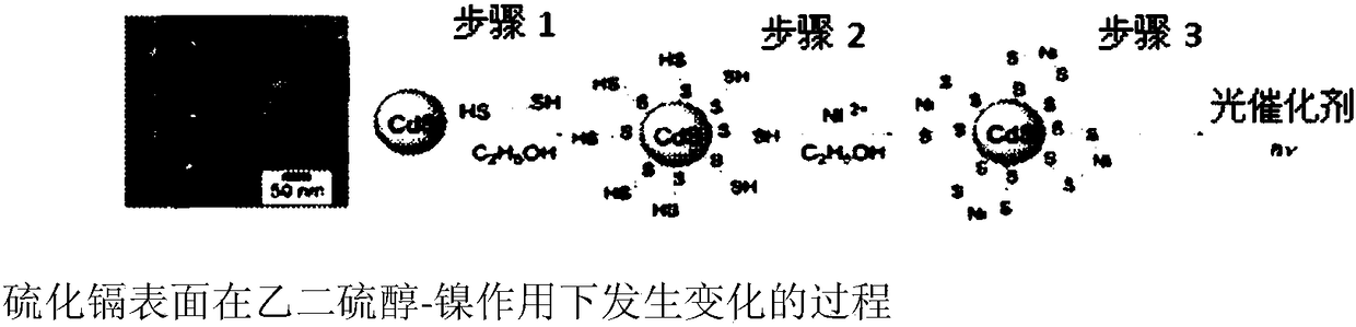 Incorporating transition metal-facilitated photocatalytic systems for efficient hydrogen evolution