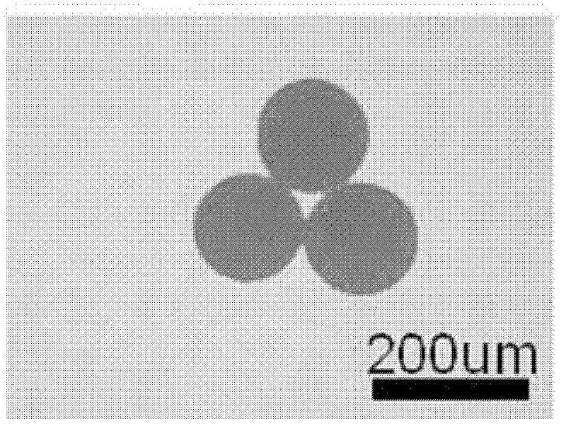 Microfluidic-control preparation method for microsphere of polymethylmethacrylate-coated cadmium telluride (CdTe) quantum dot