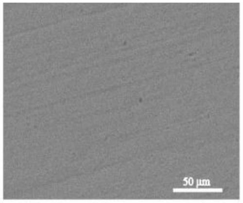 Preparation method and application of soluble extracellular polymeric substance of bacillus microorganism