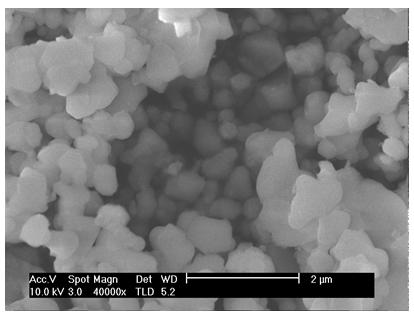 Method for preparing spherical porous alumina carrier