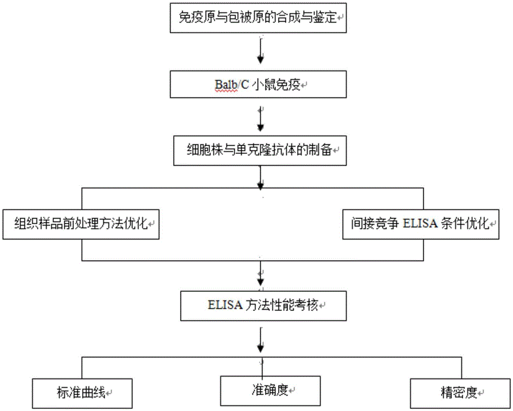 Monoclonal antibody for detecting aflatoxin, ELISA (enzyme-linked immunosorbent assay) method and kit