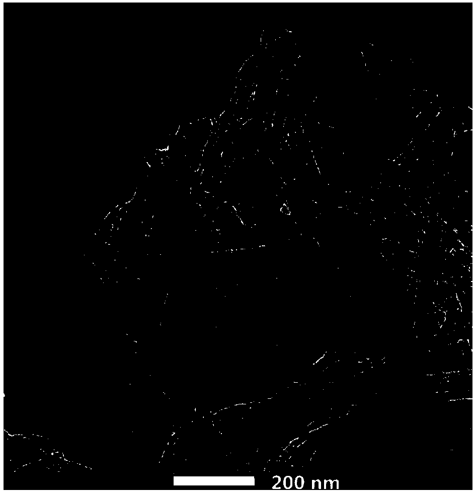 Preparation method and application of nitrogen-sulfur co-doped carbon nanotube