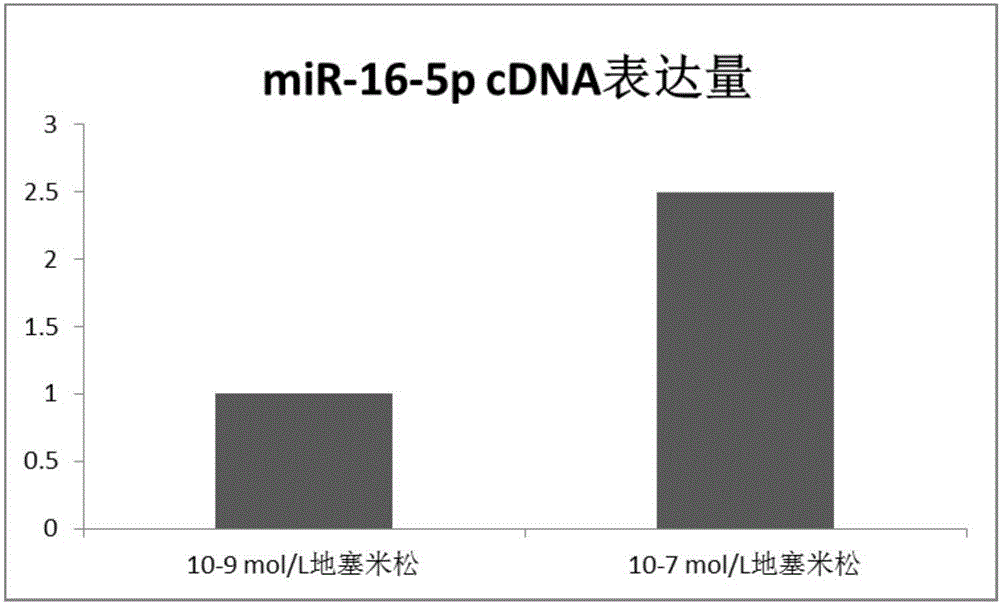 Application of micro RNA in preventing or treating femoral head necrosis caused by glucocorticoid