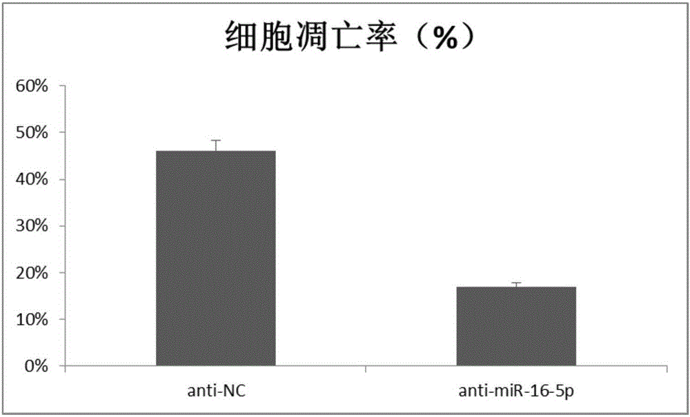 Application of micro RNA in preventing or treating femoral head necrosis caused by glucocorticoid