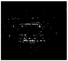 Point cloud data annotation method, segmentation model determination method, target detection method and related equipment