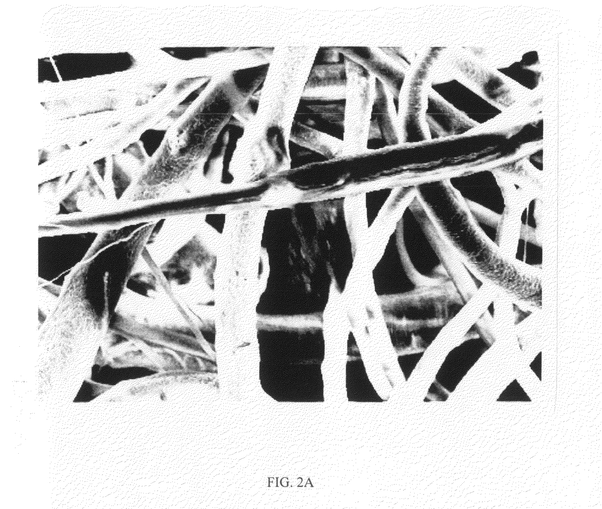 Electrospun Ceramic-Polymer Composite As A Scaffold For Tissue Repair