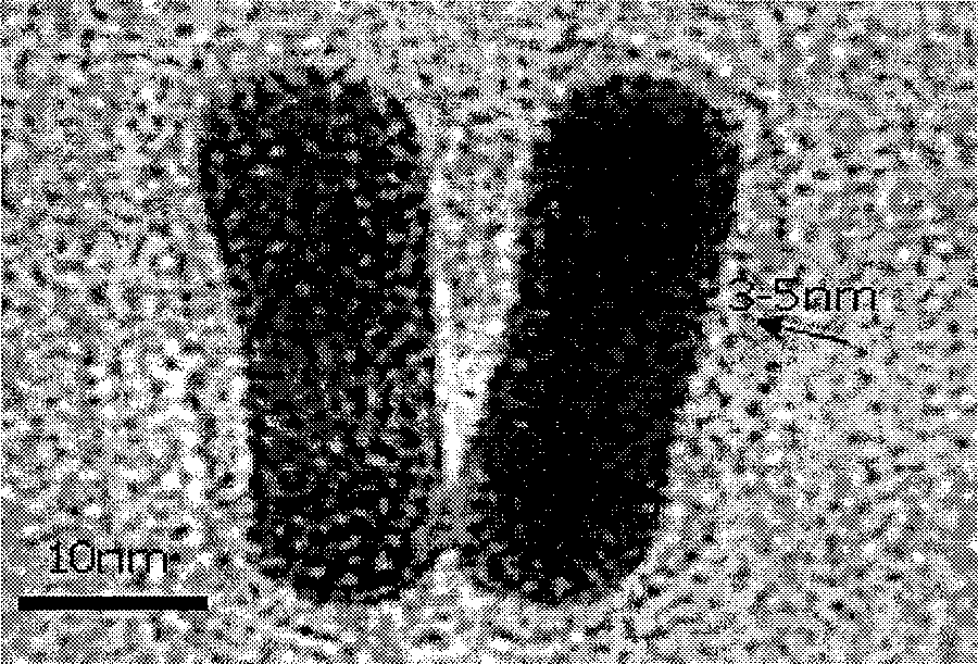 Gold nano-bar based medicine carrier and preparation technique and use thereof