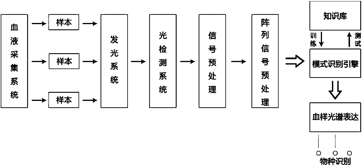 Spectrum-based blood species identification instrument and identification method