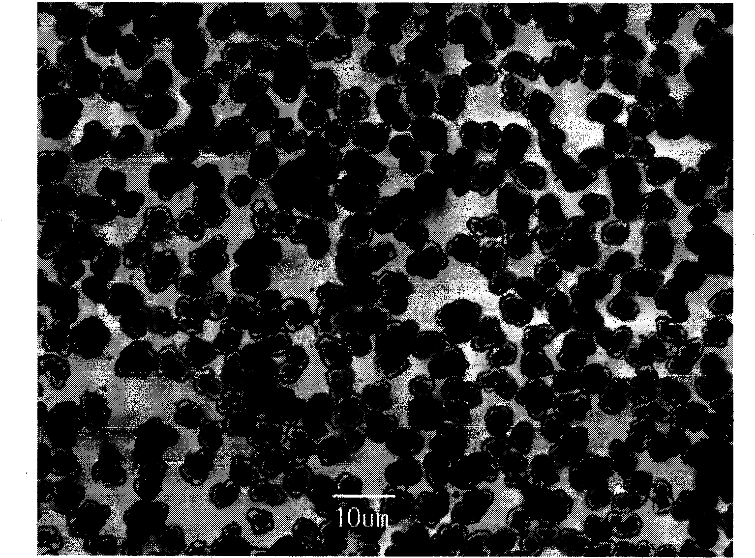 Preparation method of nickel ferrite based magnetic loaded type titanium dioxide photo-catalyst