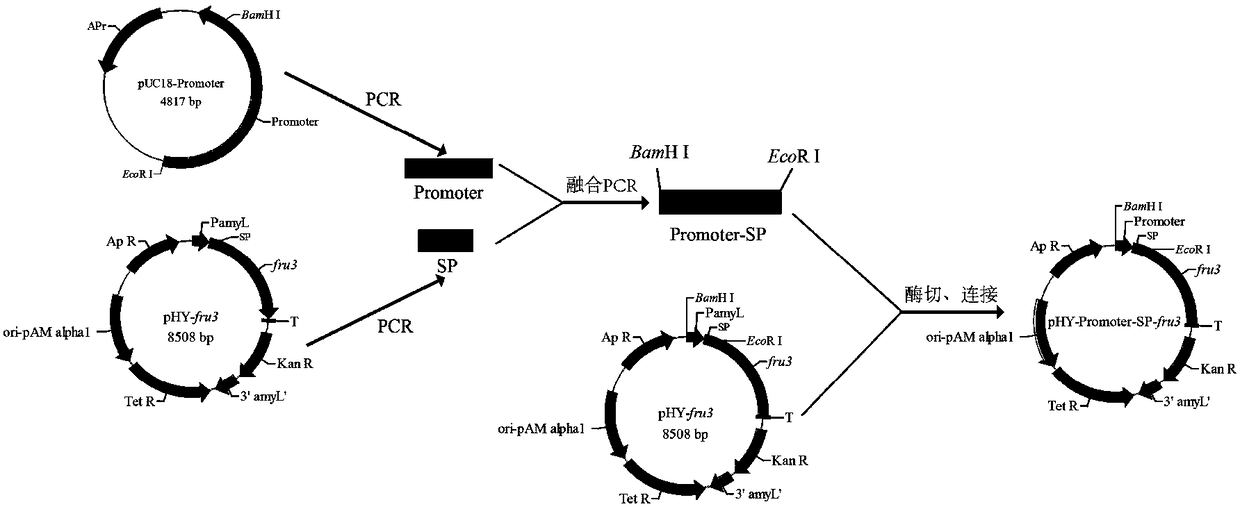 A kind of method for preparing fructo-oligosaccharide and enzyme preparation thereof