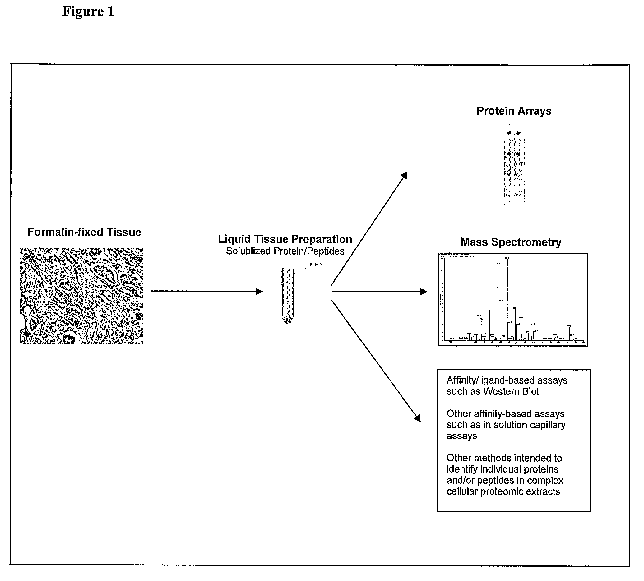 Diagnosis of diseases and conditions by analysis of histopathologically processed biological samples using liquid tissue preparations