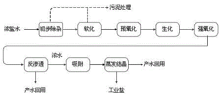 Method and device for realizing zero emission of strong brine