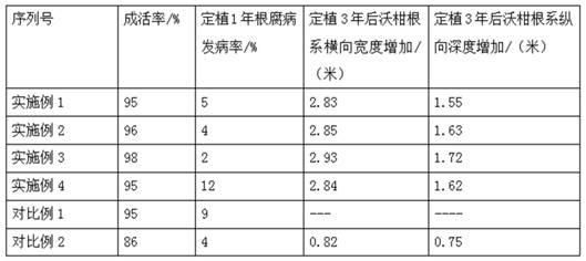 Fertilizer-saving efficient cultivation method for citrus reiculata Blanco