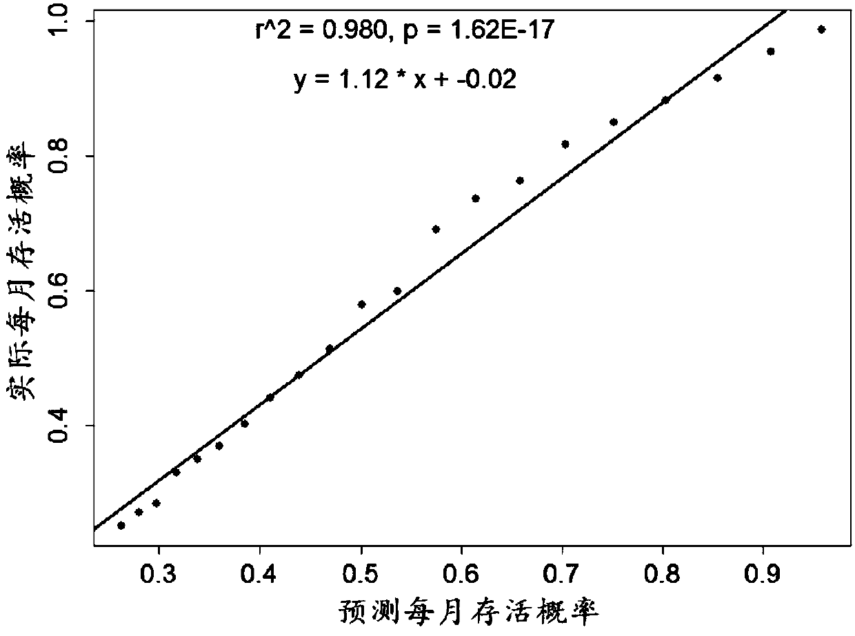 Personalized prognosis evaluation method for gastric cancer on the basis of multigene expression characteristic spectrum