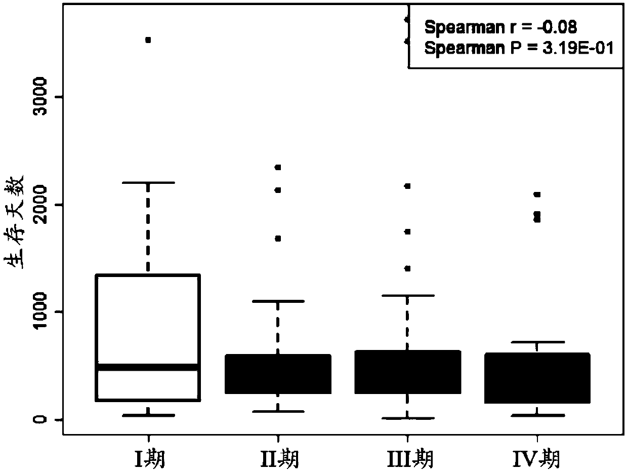 Personalized prognosis evaluation method for gastric cancer on the basis of multigene expression characteristic spectrum