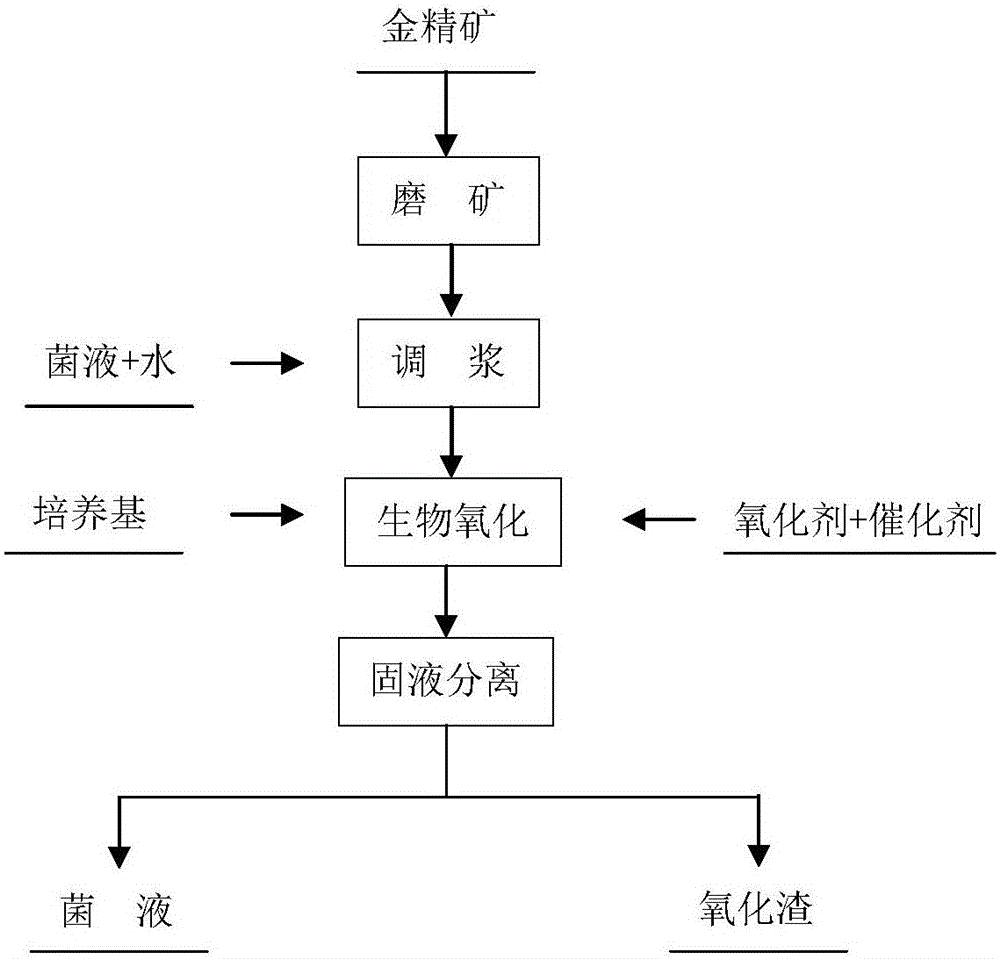 Oxidation pretreatment method for strengthening arsenic containing gold concentrates through cooperation of oxidizing agent and catalyst