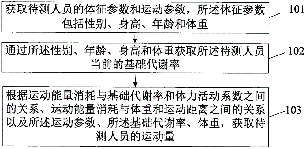 Exercise amount obtaining method and device