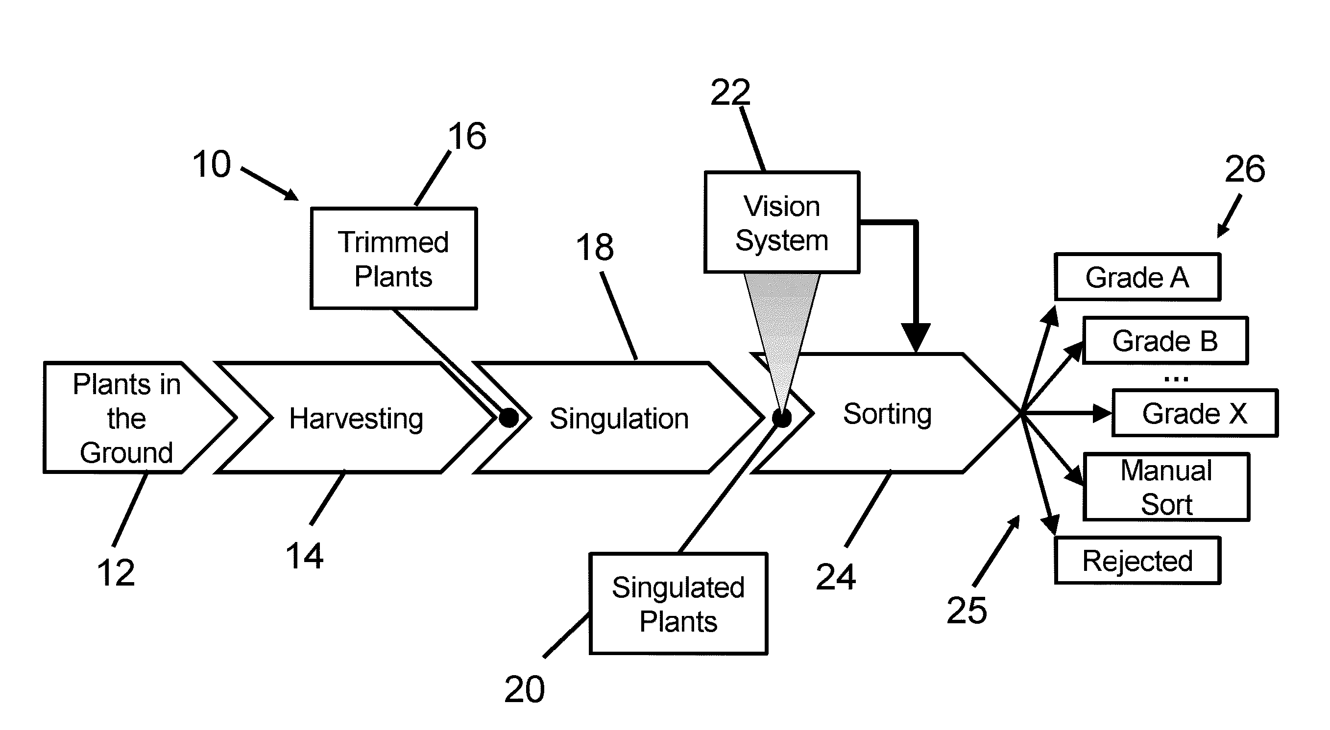 Computer vision and machine learning software for grading and sorting plants