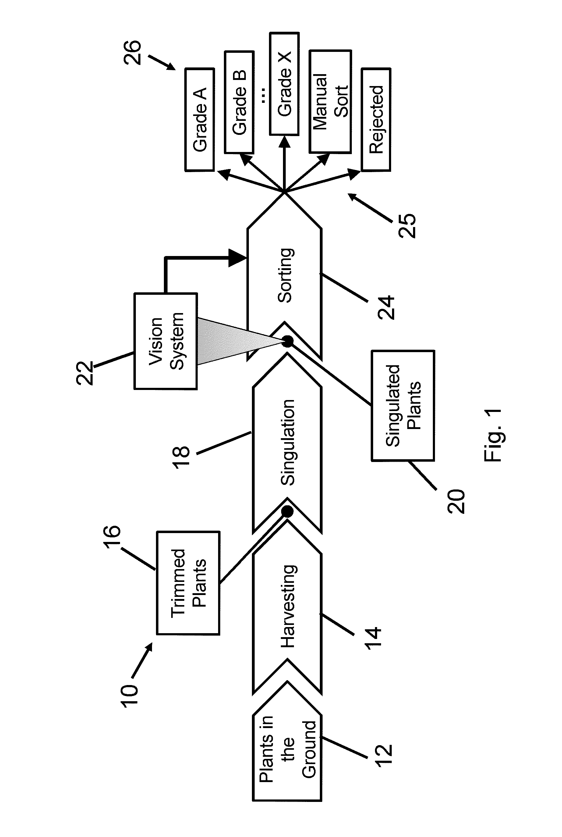 Computer vision and machine learning software for grading and sorting plants