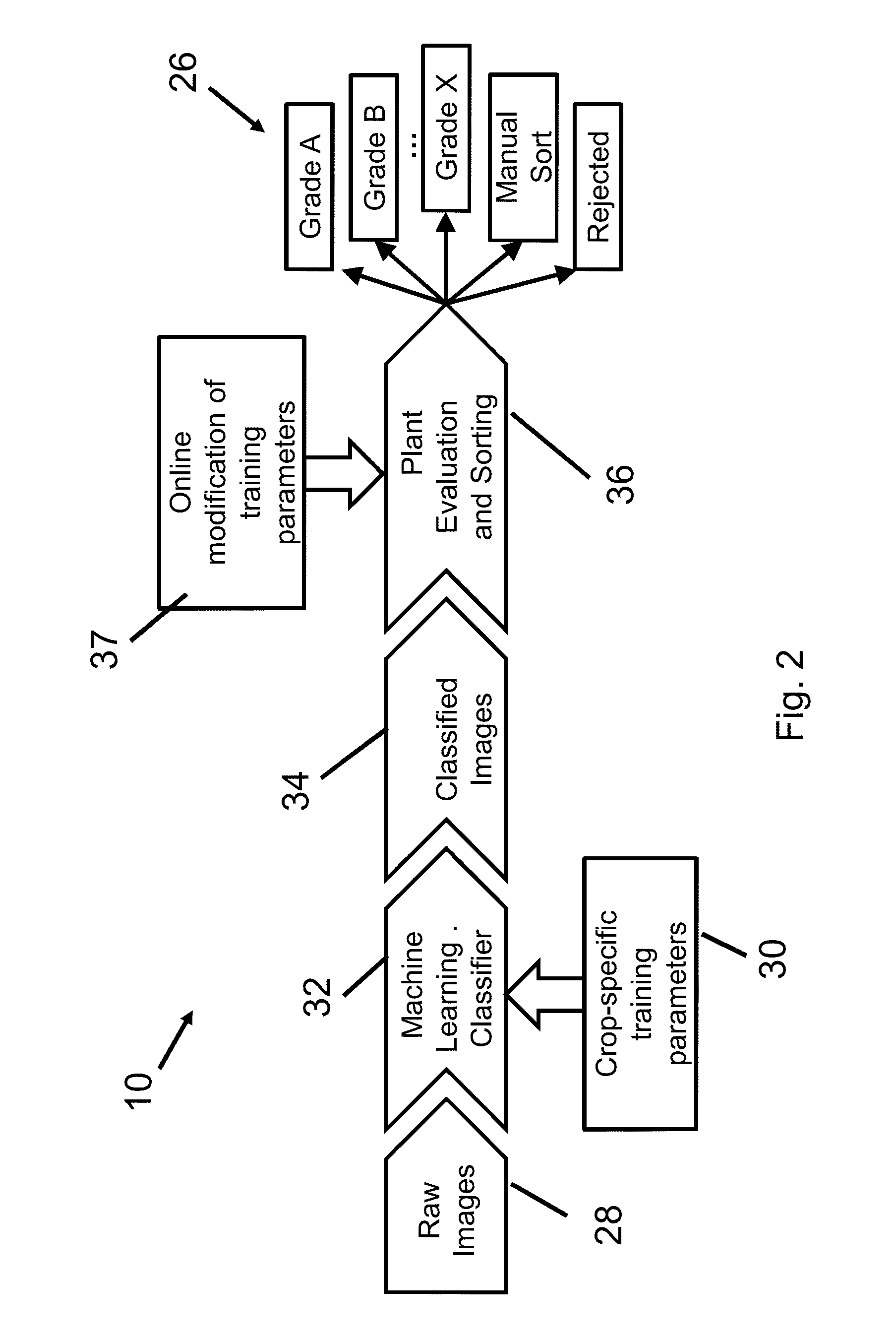 Computer vision and machine learning software for grading and sorting plants