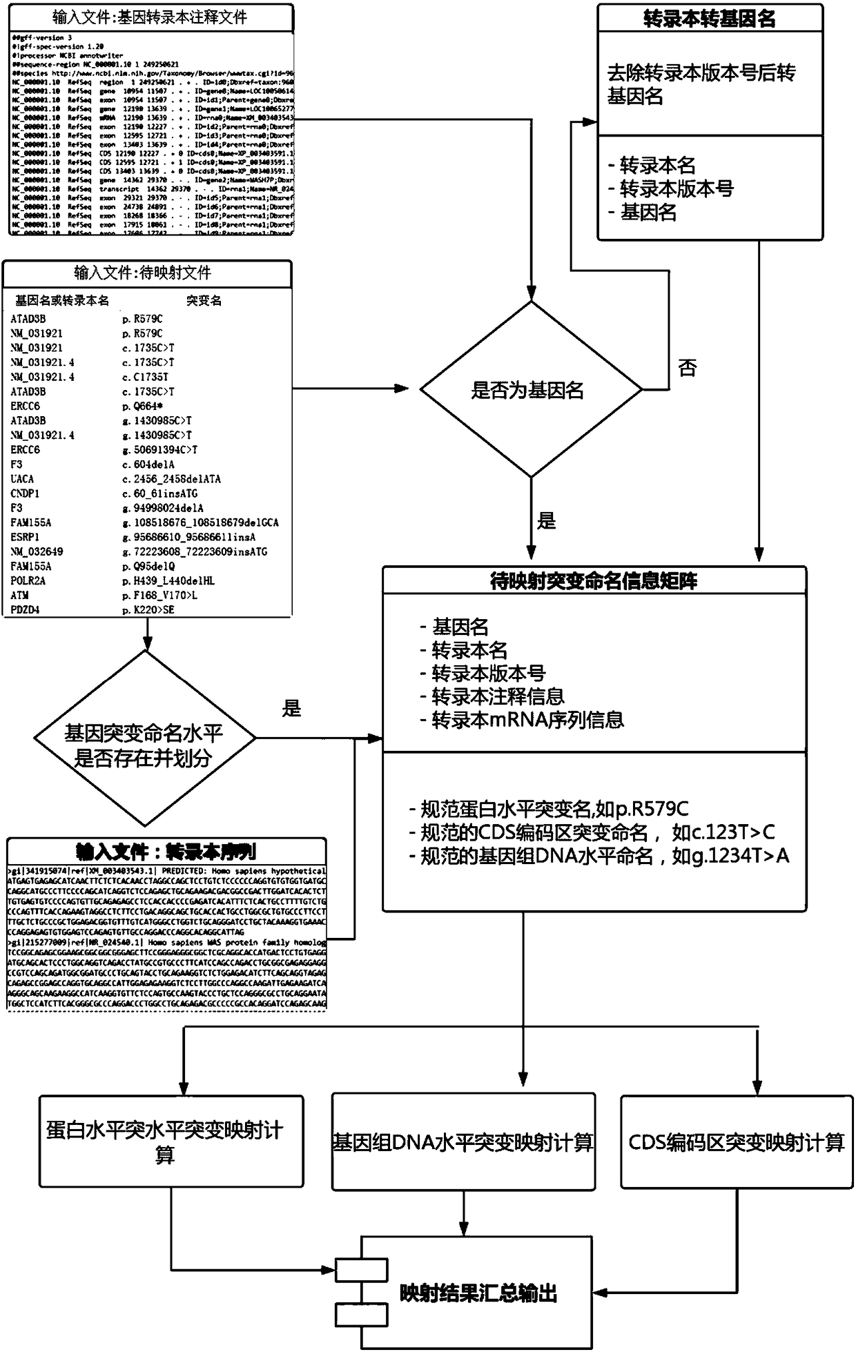 A DNA and protein level mutation analysis method