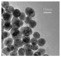 A kind of preparation method of polyphenylene ether