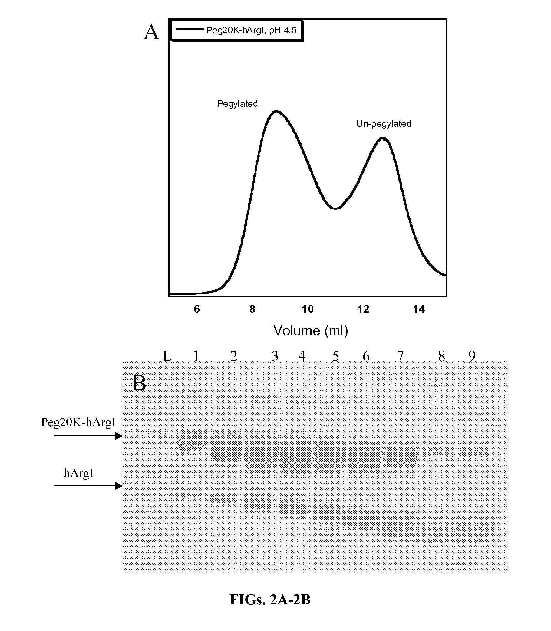 Arginase formulations and methods