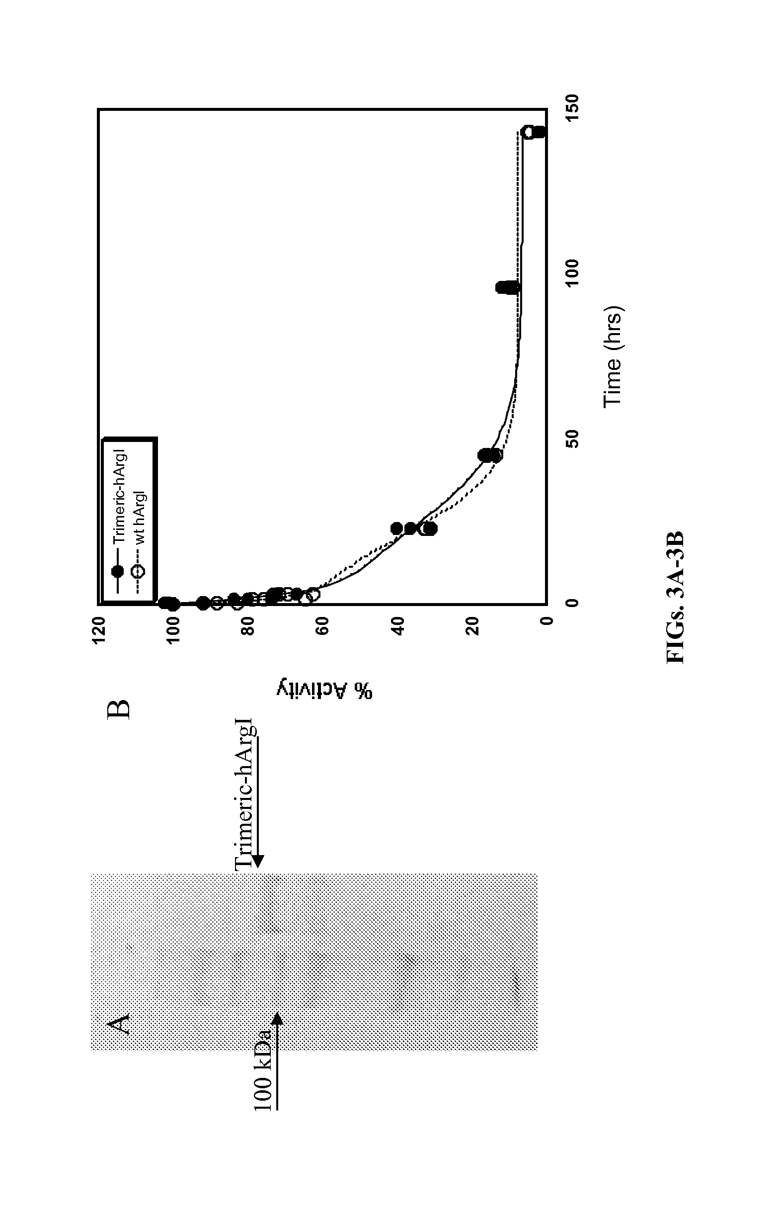 Arginase formulations and methods