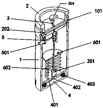 Limit-type irradiation sample hole plug and locking method