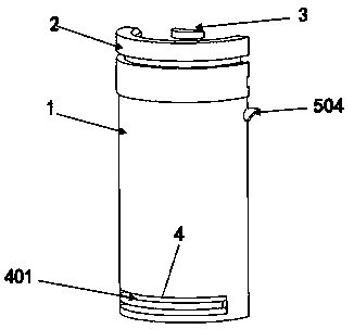 Limit-type irradiation sample hole plug and locking method