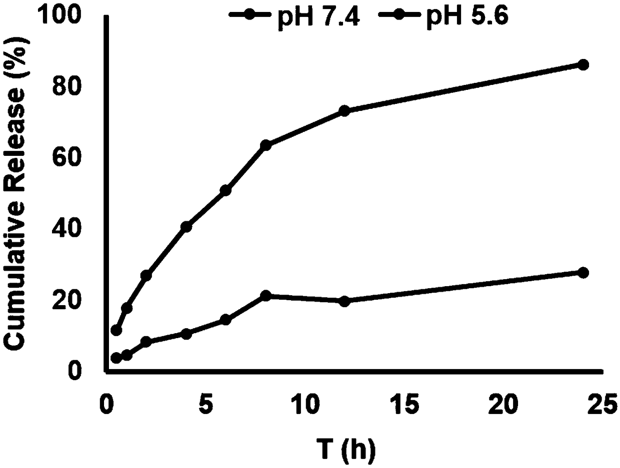 ZL006 cyclohexyl ester polymer nanometer drug delivery system and preparation method thereof