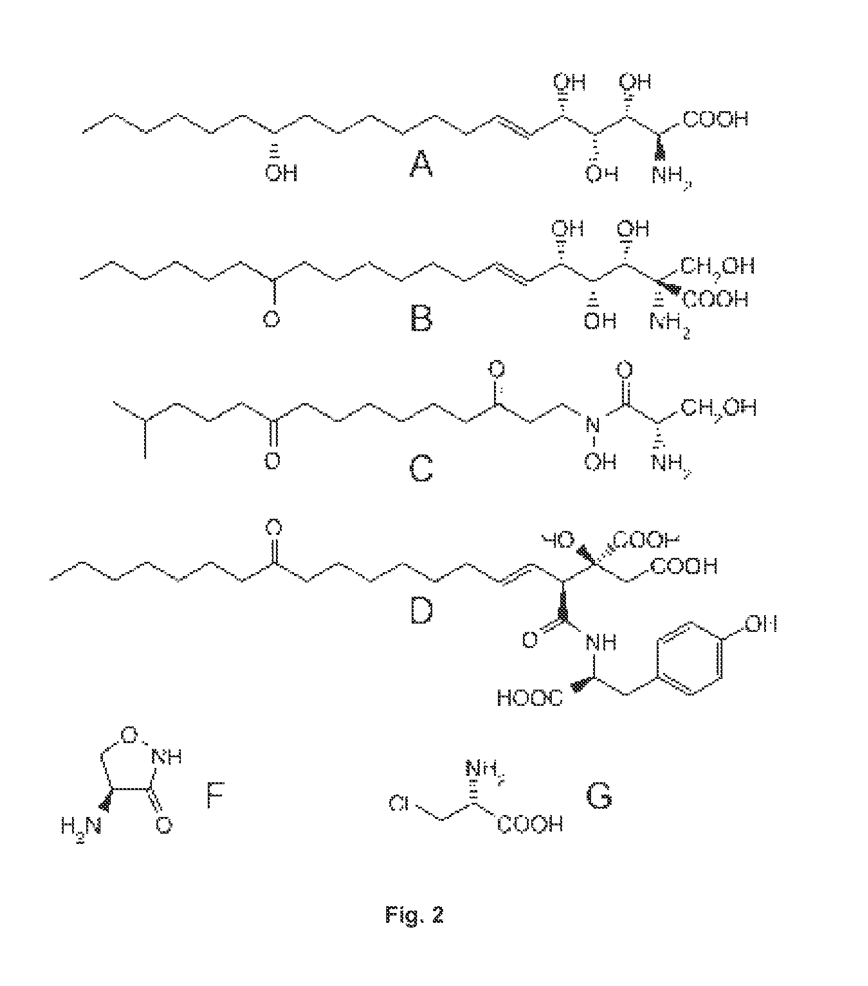 Prevention And Treatment Of Diseases Caused By Elevated Levels Of Deoxy-Sphingolipids