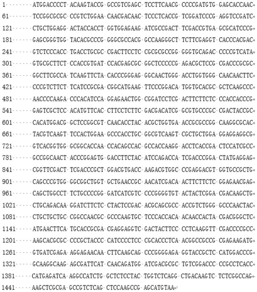 A kind of bacillus subtilis and its application, a kind of enzyme preparation