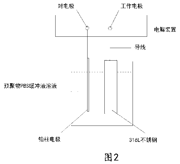 Method for quickly coating polysaccharide polymer on metal material surface