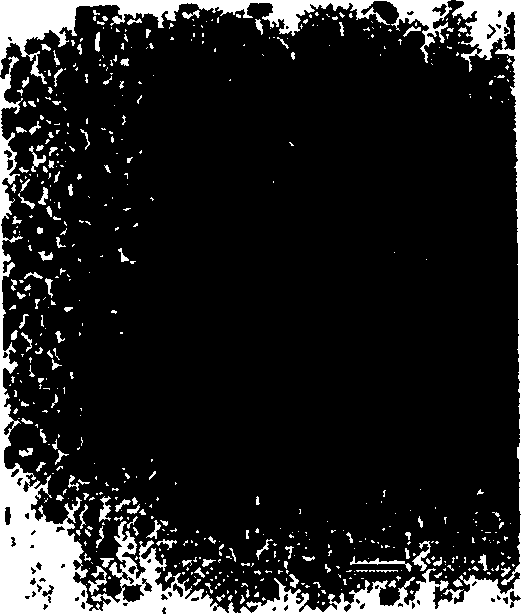 High solidness low viscosity nano composite polyester resin and method of preparation