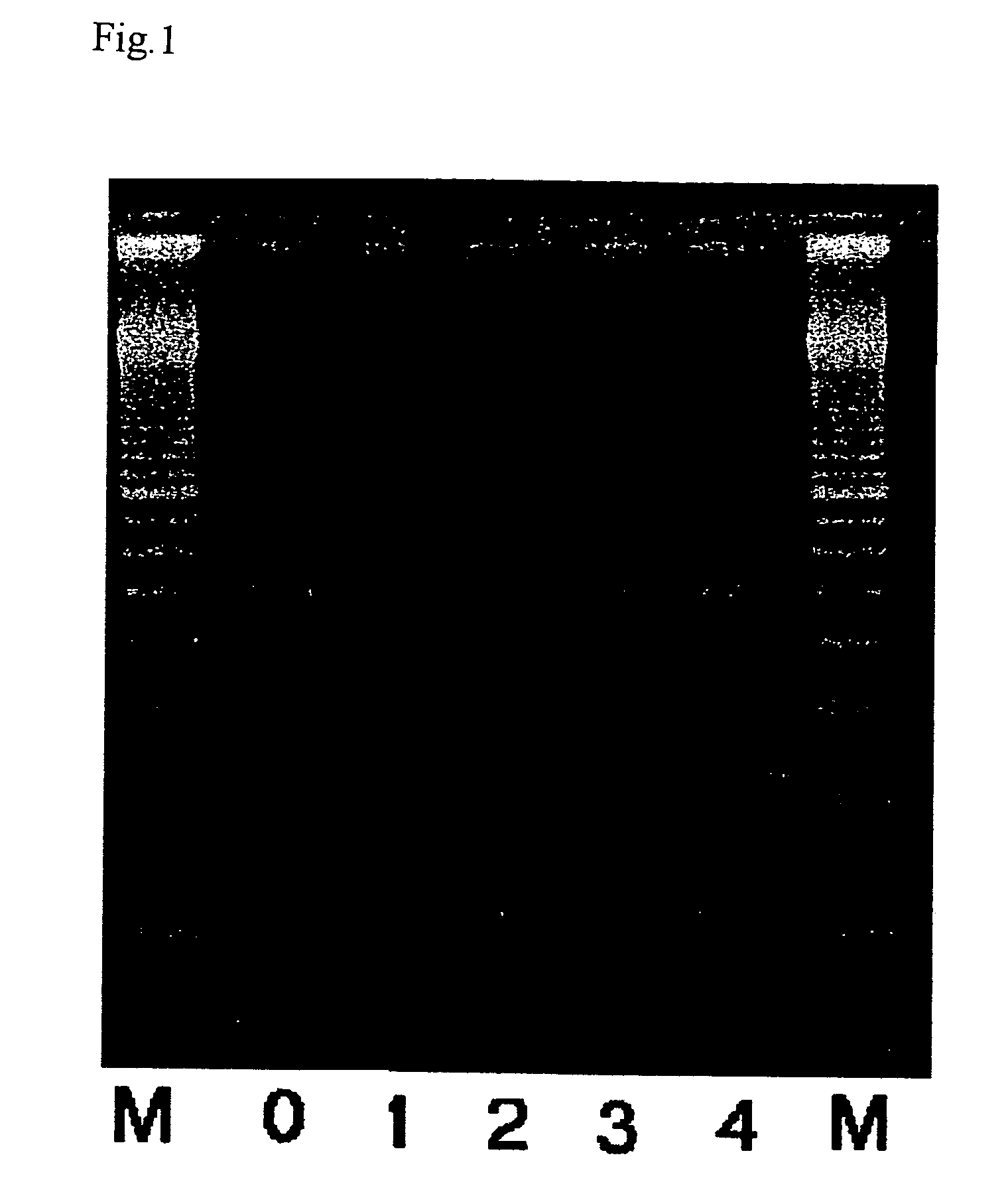 Method of reusing DNA-immobilization substrate