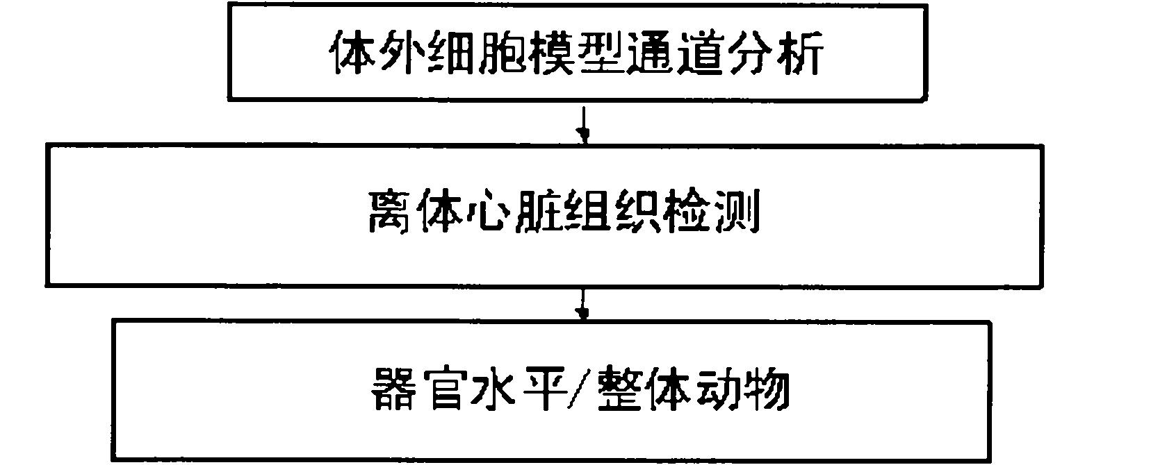 Test method for evaluating arrhythmia caused by action of medicament on human nether-a-gogo related gene (hERG)