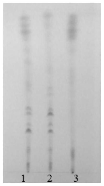 Detection method of Sanhuang granules